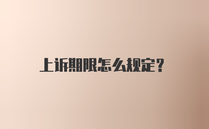 上诉期限怎么规定？