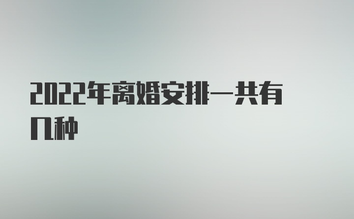 2022年离婚安排一共有几种