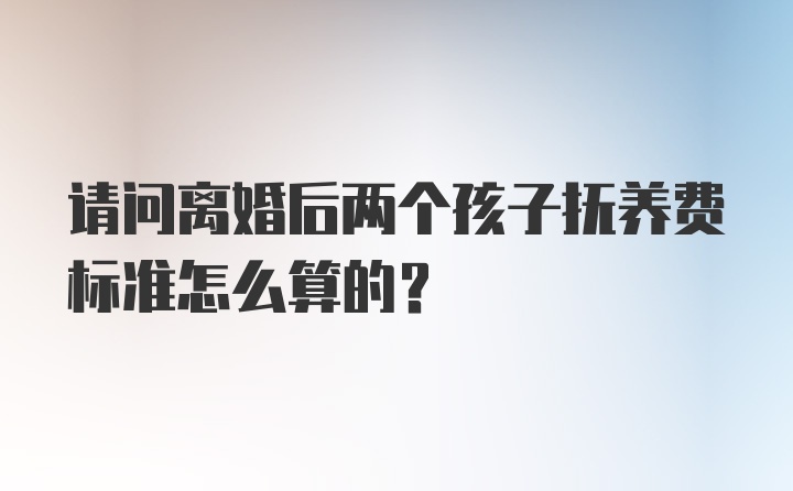 请问离婚后两个孩子抚养费标准怎么算的？