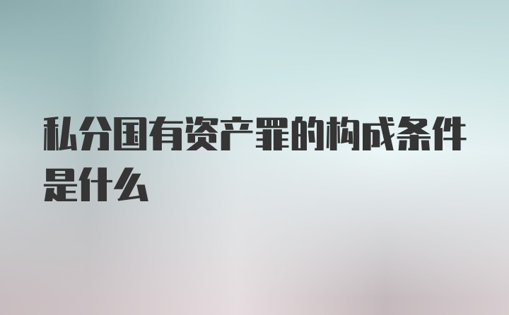 私分国有资产罪的构成条件是什么