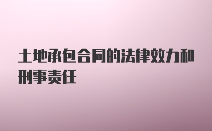 土地承包合同的法律效力和刑事责任