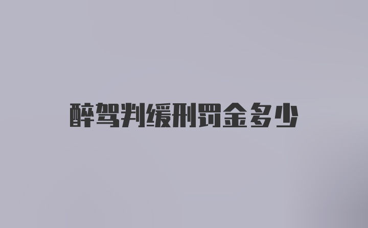 醉驾判缓刑罚金多少