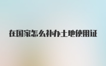 在国家怎么补办土地使用证