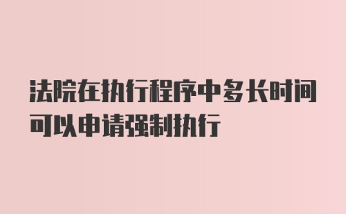 法院在执行程序中多长时间可以申请强制执行