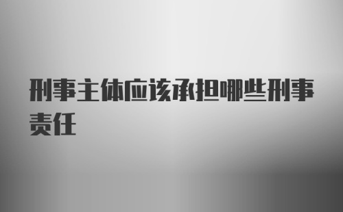 刑事主体应该承担哪些刑事责任