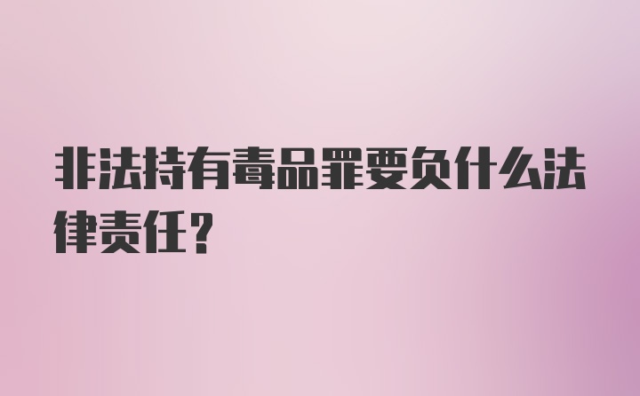 非法持有毒品罪要负什么法律责任？