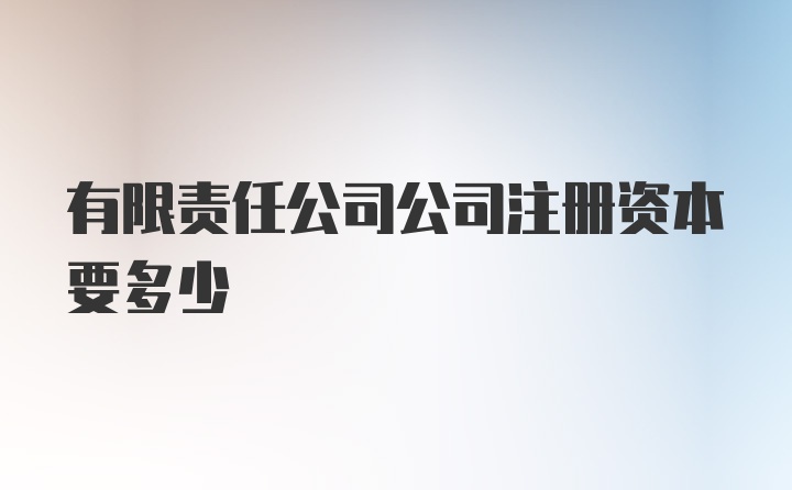 有限责任公司公司注册资本要多少