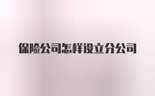 保险公司怎样设立分公司