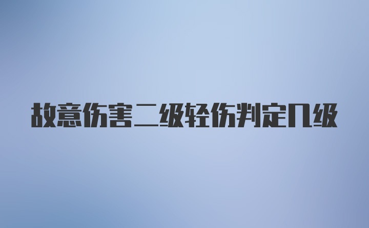 故意伤害二级轻伤判定几级