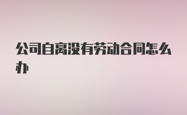 公司自离没有劳动合同怎么办