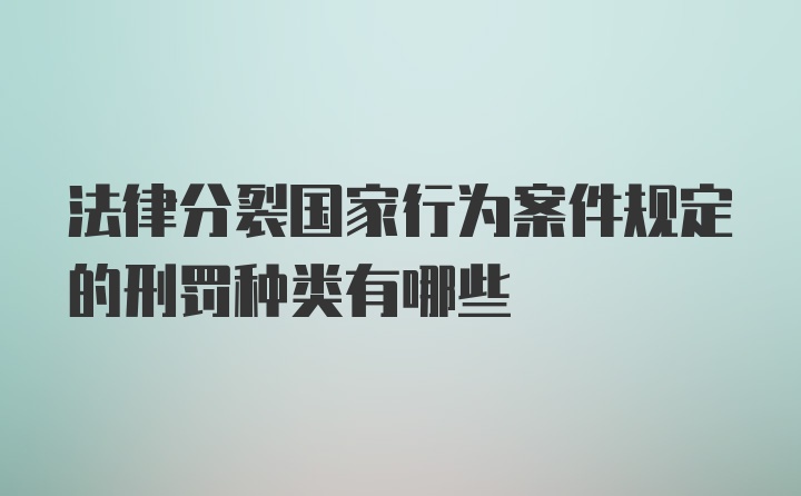 法律分裂国家行为案件规定的刑罚种类有哪些