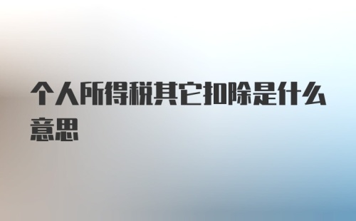 个人所得税其它扣除是什么意思