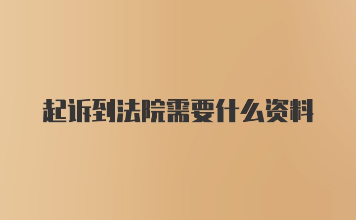 起诉到法院需要什么资料