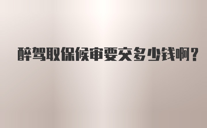 醉驾取保候审要交多少钱啊？