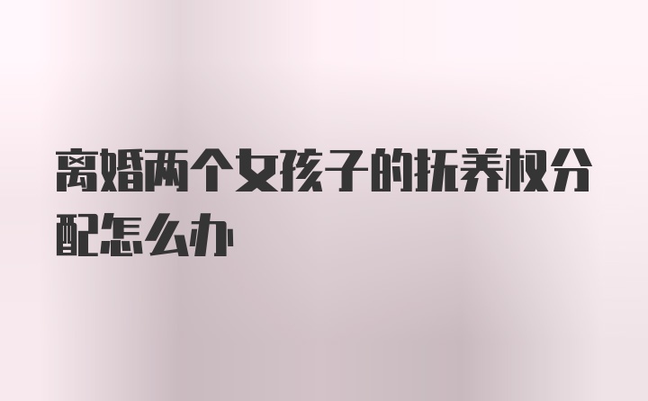 离婚两个女孩子的抚养权分配怎么办