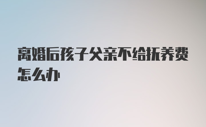 离婚后孩子父亲不给抚养费怎么办