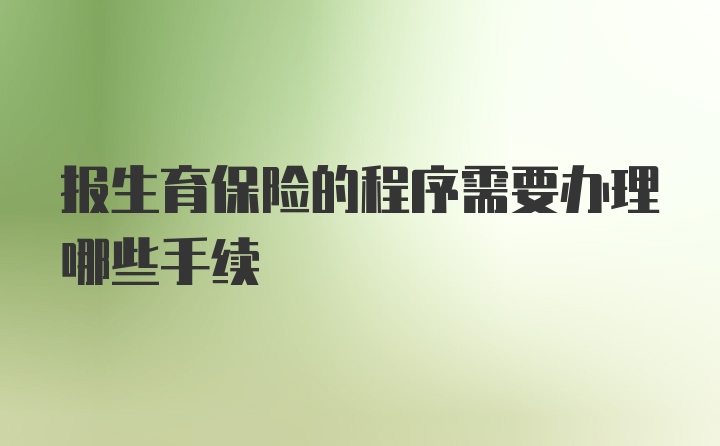 报生育保险的程序需要办理哪些手续