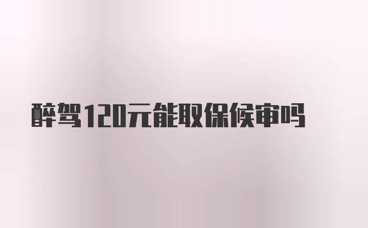 醉驾120元能取保候审吗