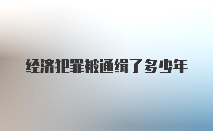 经济犯罪被通缉了多少年