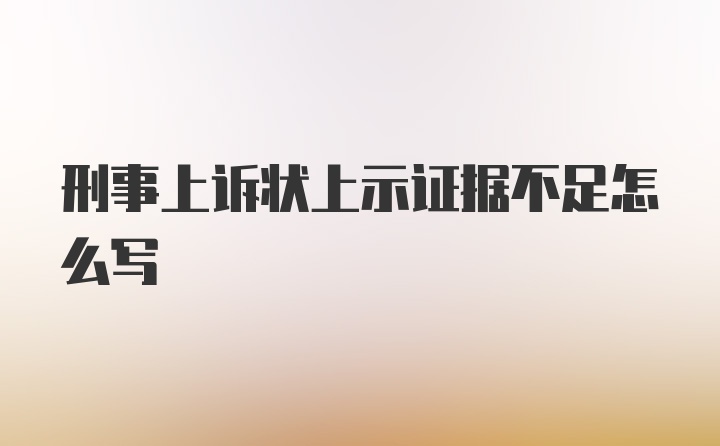 刑事上诉状上示证据不足怎么写