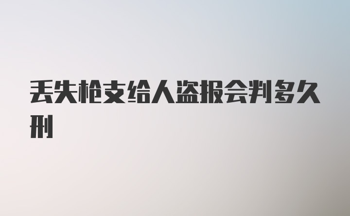 丢失枪支给人盗报会判多久刑