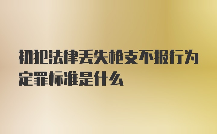 初犯法律丢失枪支不报行为定罪标准是什么