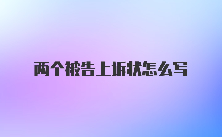 两个被告上诉状怎么写