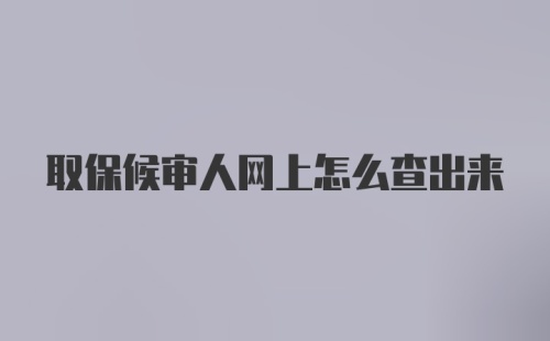 取保候审人网上怎么查出来