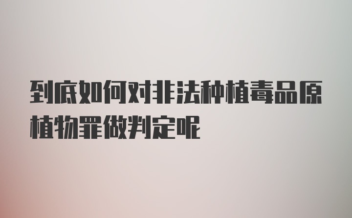 到底如何对非法种植毒品原植物罪做判定呢