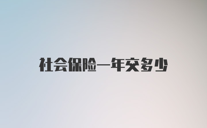 社会保险一年交多少