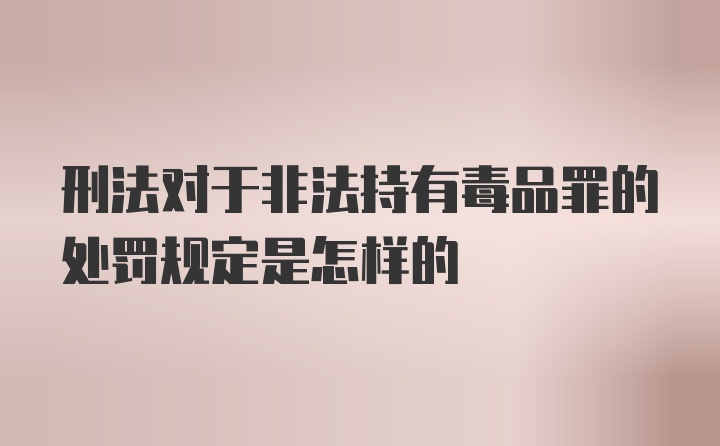 刑法对于非法持有毒品罪的处罚规定是怎样的