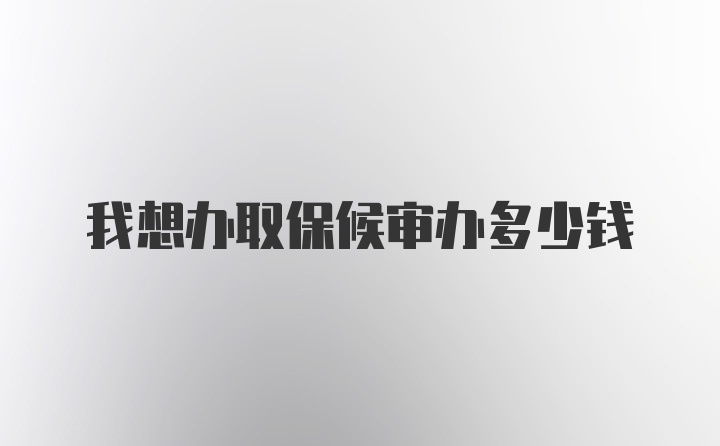 我想办取保候审办多少钱