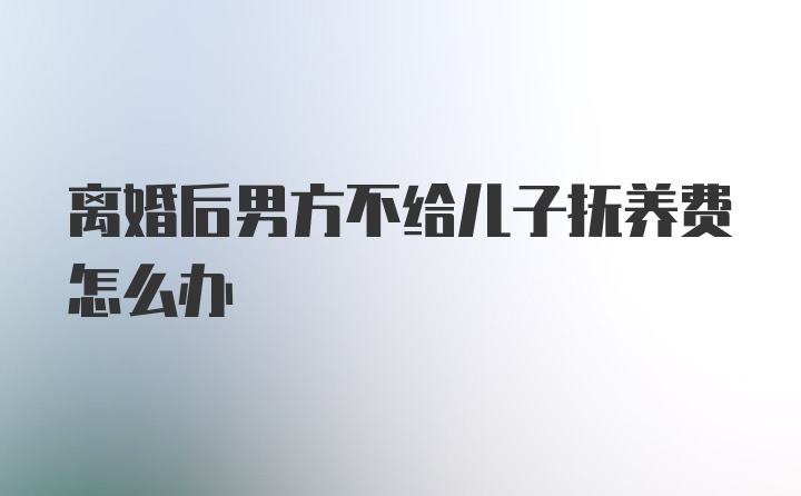 离婚后男方不给儿子抚养费怎么办