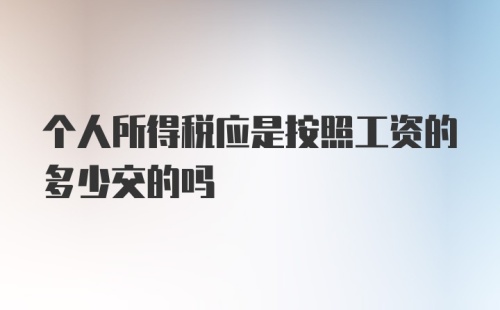 个人所得税应是按照工资的多少交的吗