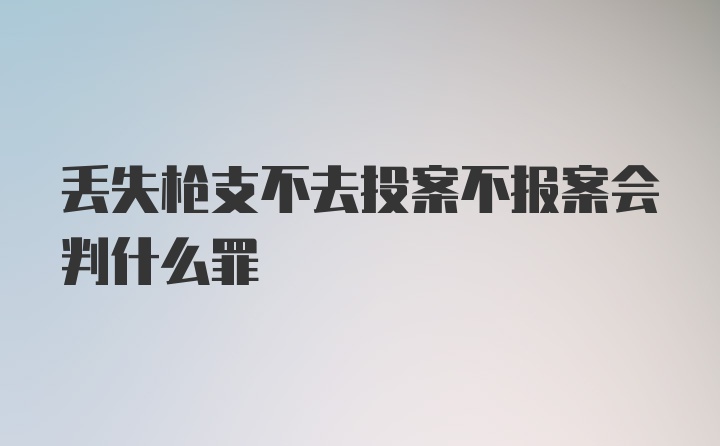 丢失枪支不去投案不报案会判什么罪