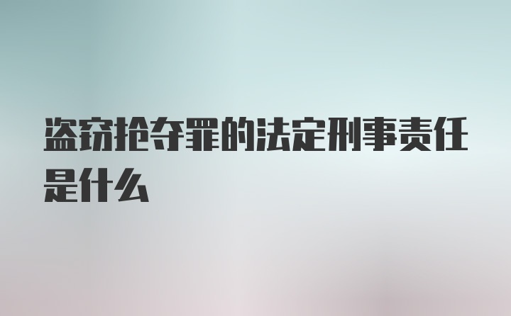 盗窃抢夺罪的法定刑事责任是什么