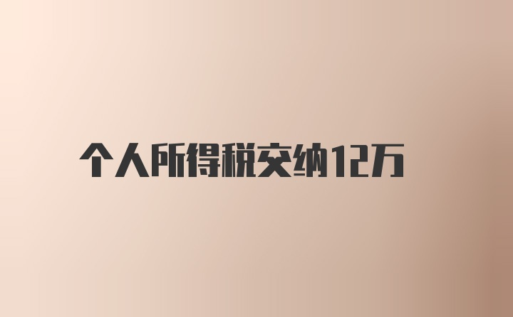 个人所得税交纳12万