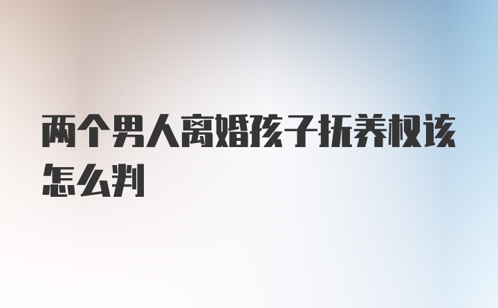 两个男人离婚孩子抚养权该怎么判