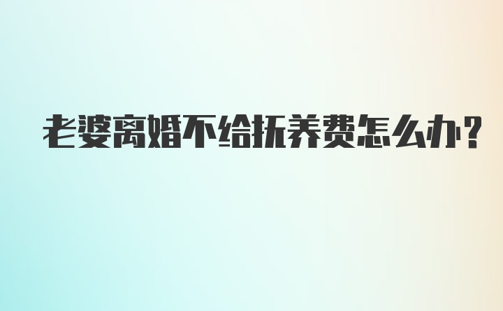 老婆离婚不给抚养费怎么办？