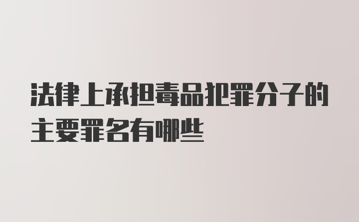 法律上承担毒品犯罪分子的主要罪名有哪些