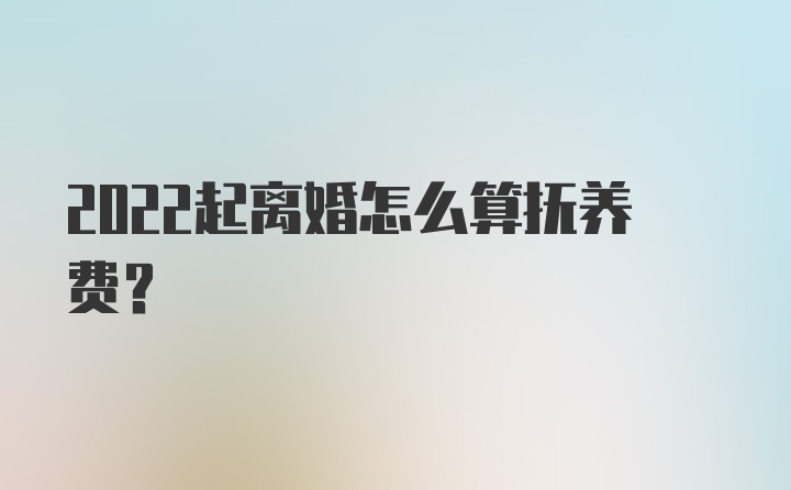 2022起离婚怎么算抚养费?