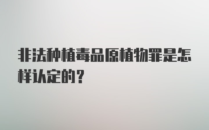 非法种植毒品原植物罪是怎样认定的？