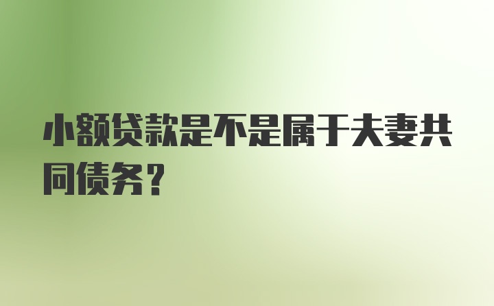 小额贷款是不是属于夫妻共同债务?