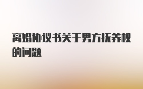 离婚协议书关于男方抚养权的问题