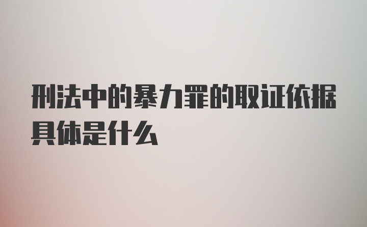 刑法中的暴力罪的取证依据具体是什么