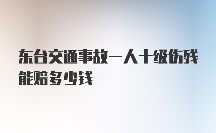 东台交通事故一人十级伤残能赔多少钱