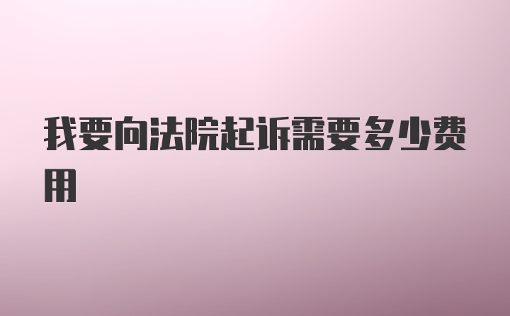 我要向法院起诉需要多少费用