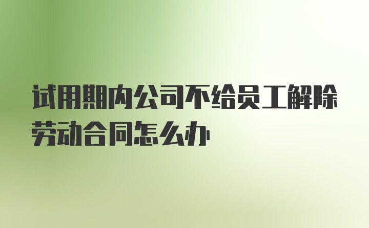 试用期内公司不给员工解除劳动合同怎么办