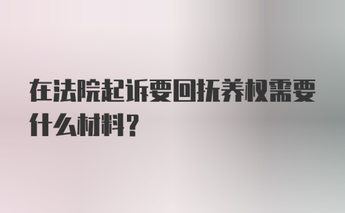 在法院起诉要回抚养权需要什么材料？