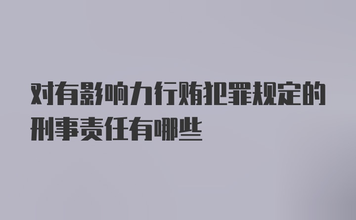 对有影响力行贿犯罪规定的刑事责任有哪些